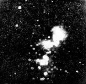 Молодые звёзды рядом с Туманностью Ориона